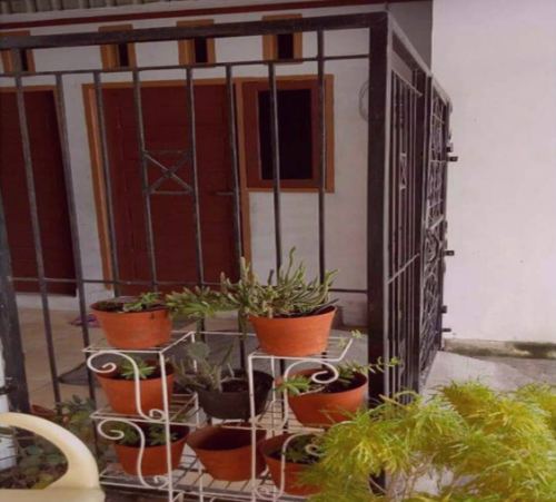 Kost Cewek : (Soekarno Hatta)